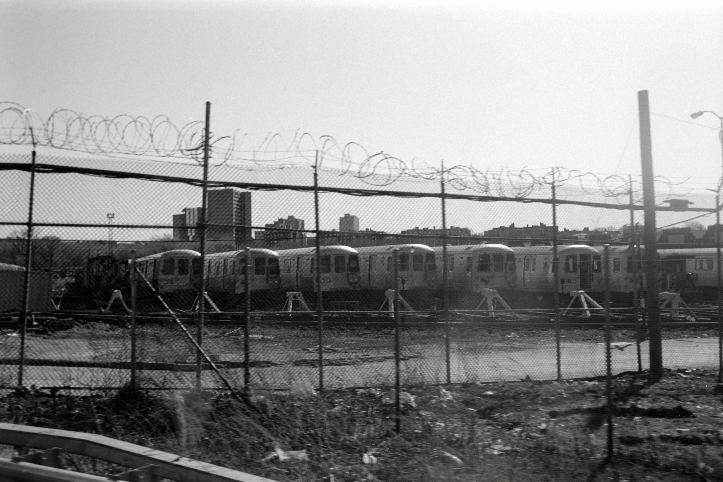 AHP F1995 04 009 sc240817 img39 NLP